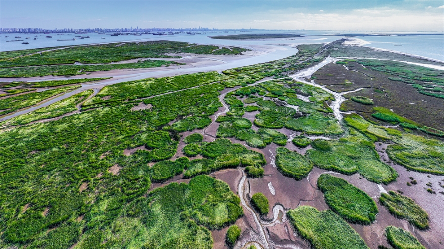 《江岛湿地》 陆之豪15601560003