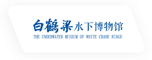 重庆白鹤梁水下博物馆
