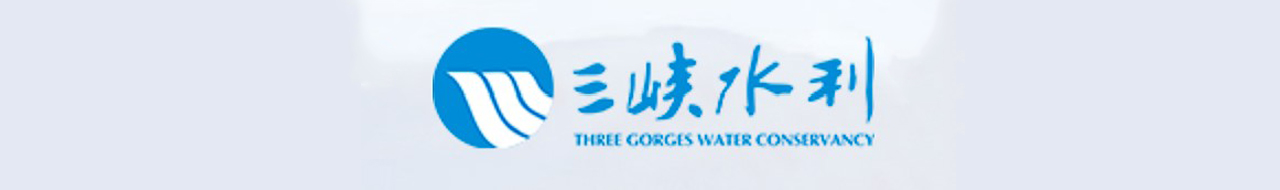 重庆三峡水利电力（集团）股份有限公司