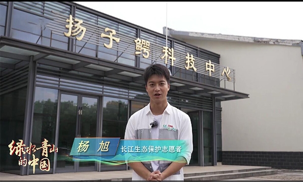 战力“天花板”，输出靠卖萌！
